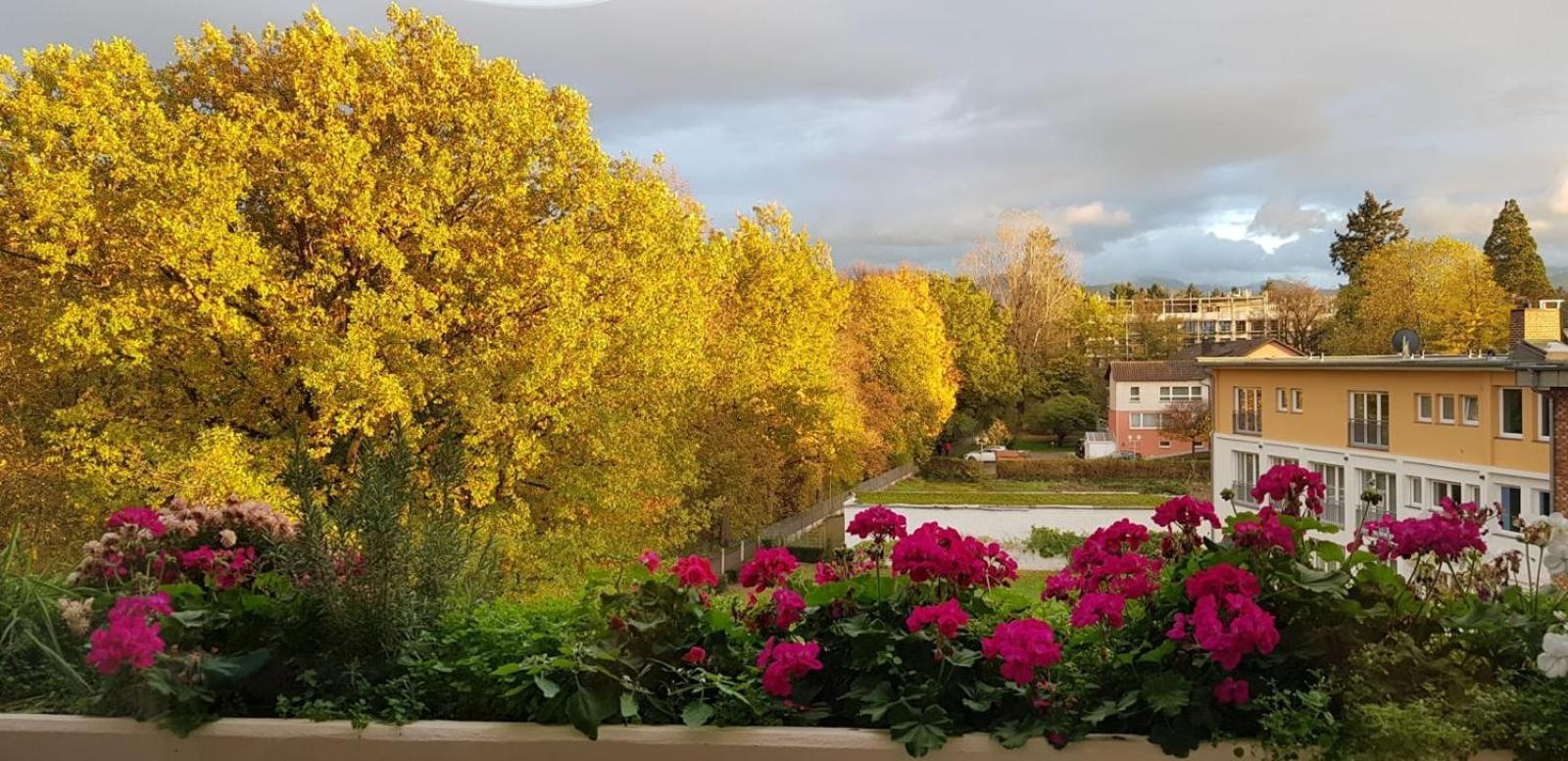 MariaPrimaVera Apartment am Kurpark mit Schwarzwaldblick * * * * Bad Krozingen Exterior foto
