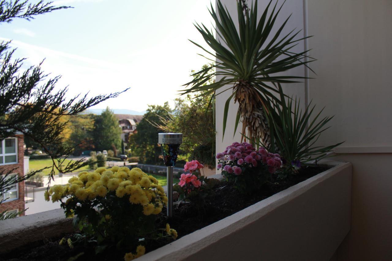 MariaPrimaVera Apartment am Kurpark mit Schwarzwaldblick * * * * Bad Krozingen Exterior foto