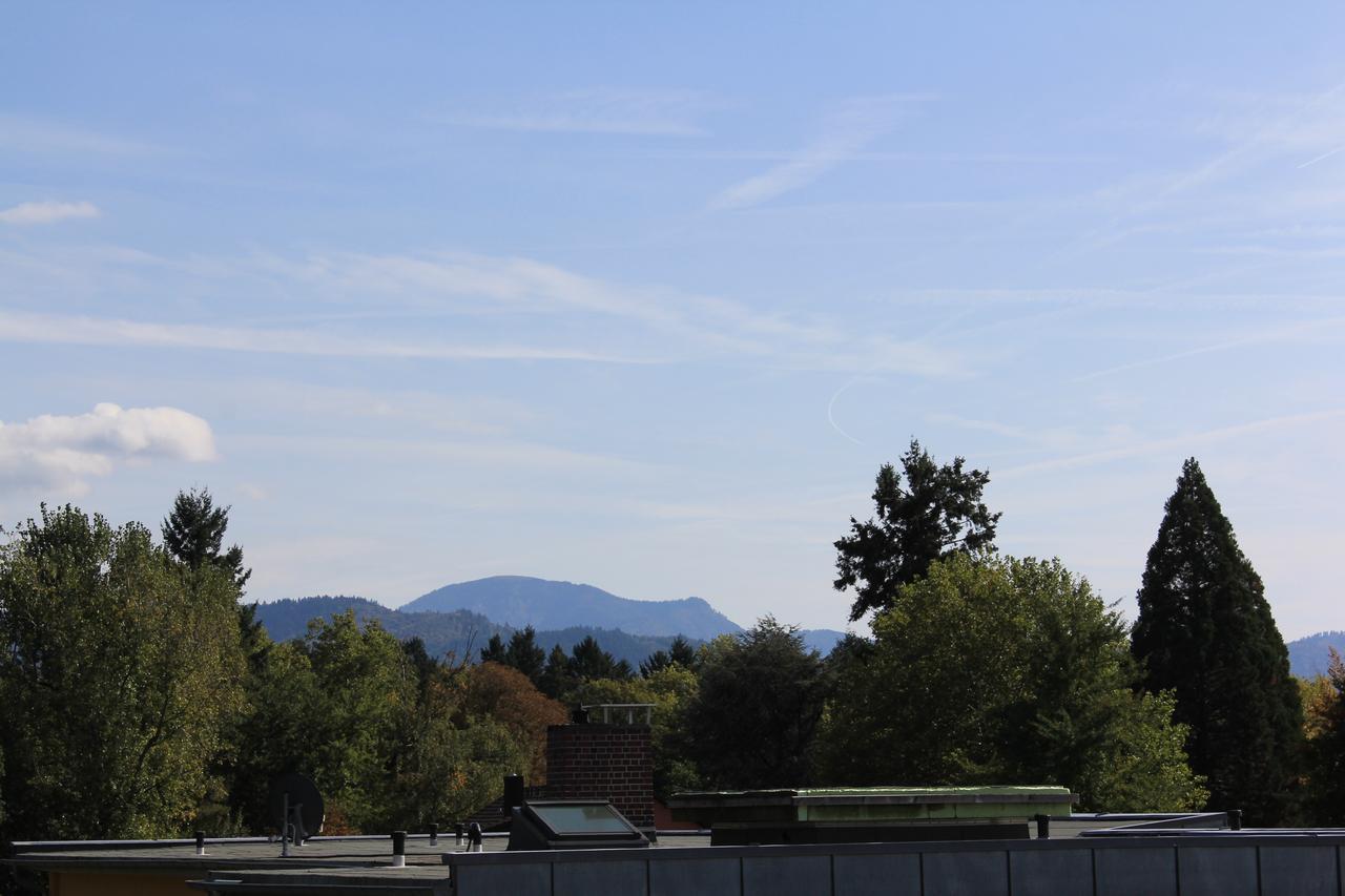 MariaPrimaVera Apartment am Kurpark mit Schwarzwaldblick * * * * Bad Krozingen Exterior foto